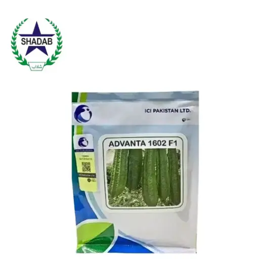 [RIDGE GOURD] ICI VEGETABLE SEED RIDGE GOURD 1602 
