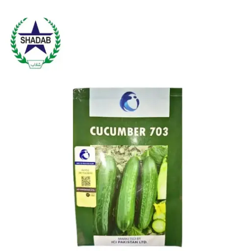 [KHEERA] LCI VEGETABLE SEED CUCUMBER 703