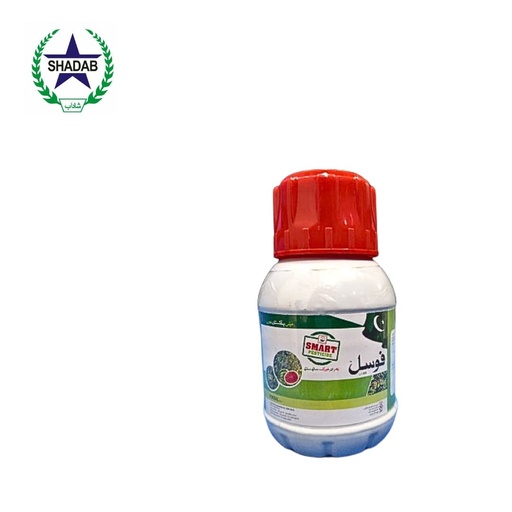 [AZOXYSTROBIN +DIFENOCONAZOLE] FOUR B FOSSIL 