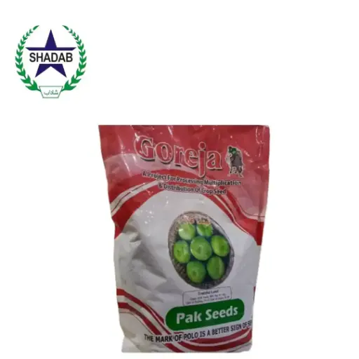 [BLACK TINDA] VEGETABLE SEED ROUND GOURD