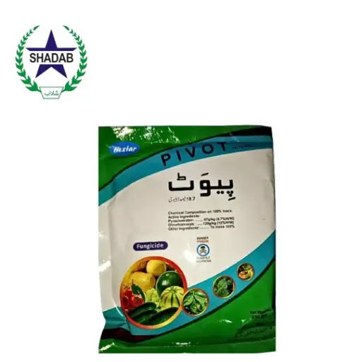 [PYRACLOSTRABIN+DIMETHOMORPH] HEXTAR PIVOT 18.7%WG