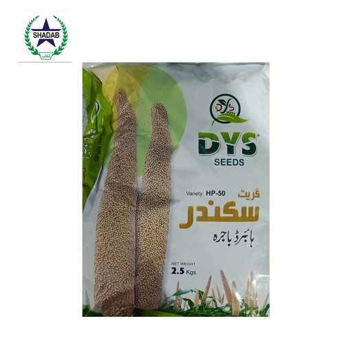 BAJRA HYBRID (GRAIN)