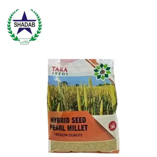 [HYBRID BAJRA] TARA BAJRA SEED HYBRID PEARL PM-05