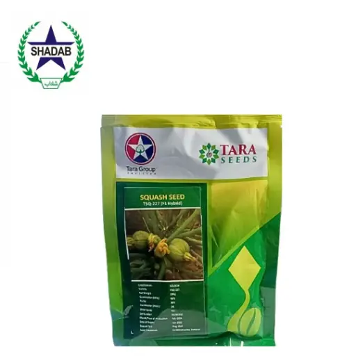 [SQUASH SEED] TARA SQUASH SEED TSQ-227