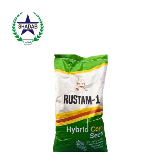 [MAIZE SEED] JPL HYBRID CORN RUSTAM 1